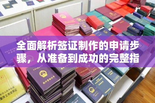 北安全面解析签证制作的申请步骤，从准备到成功的完整指南